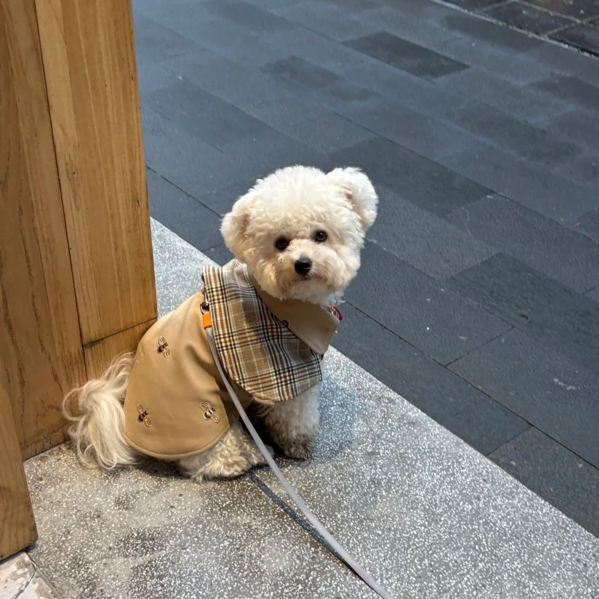 Pet Clothes for All Seasons Retro Detective Cloak British Tie Plaid Cloak for Small and Medium-Sized Dogs
