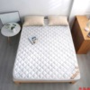 Double mattress thickening Protective pads Mat student dormitory mattress Brushed Rental Thin section