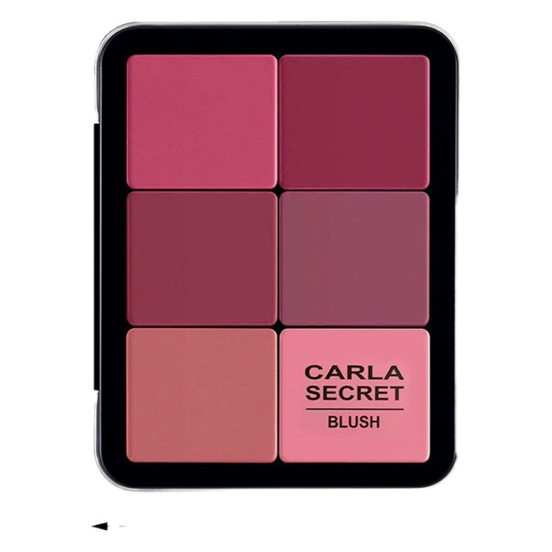 Трансграничный temu Amazon 12-цветная железная коробка румяна диск матовый постоянный консилер