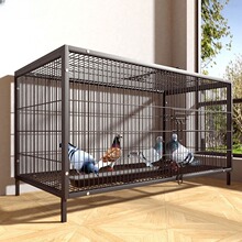 ���ӻ\�����Bֳ�\�Ӽ��ô�̖�ش�̖�F�z�W�¿���ֳⷱ�䌦�\���C