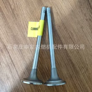In stock: Cummins NT855 intake valve 135957, exhaust valve 145701