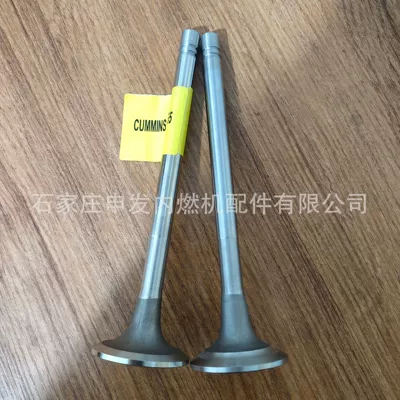 In stock: Cummins NT855 intake valve 135957, exhaust valve 145701 (Valves and components)