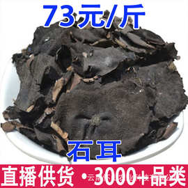 石耳 岩菇 石木耳 石壁花 地耳 批发代发