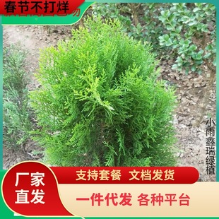 һ�����l����ؘ��� �辰�ز� ��������ɰ���ľ����ͥԺ�G���ͺ�