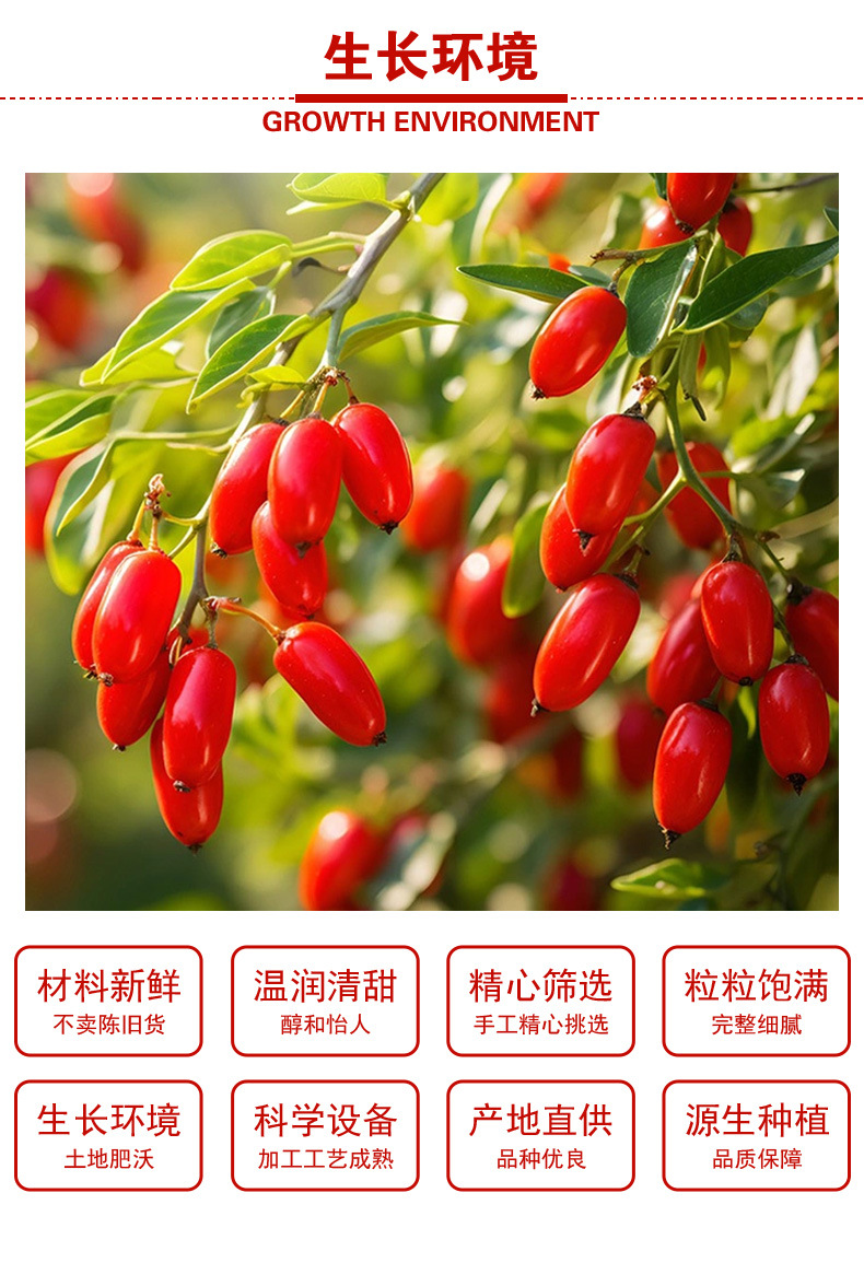 Goji Berries (Lycium barbarum) — Ningxia Dried Wolfberry, Sulfur-Free, 500g Bulk quality and texture