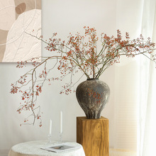 ɽ�w����Ȼֲ��ɻ������͏d�[�O�����L�廨�ɘ�֦�b[����֦