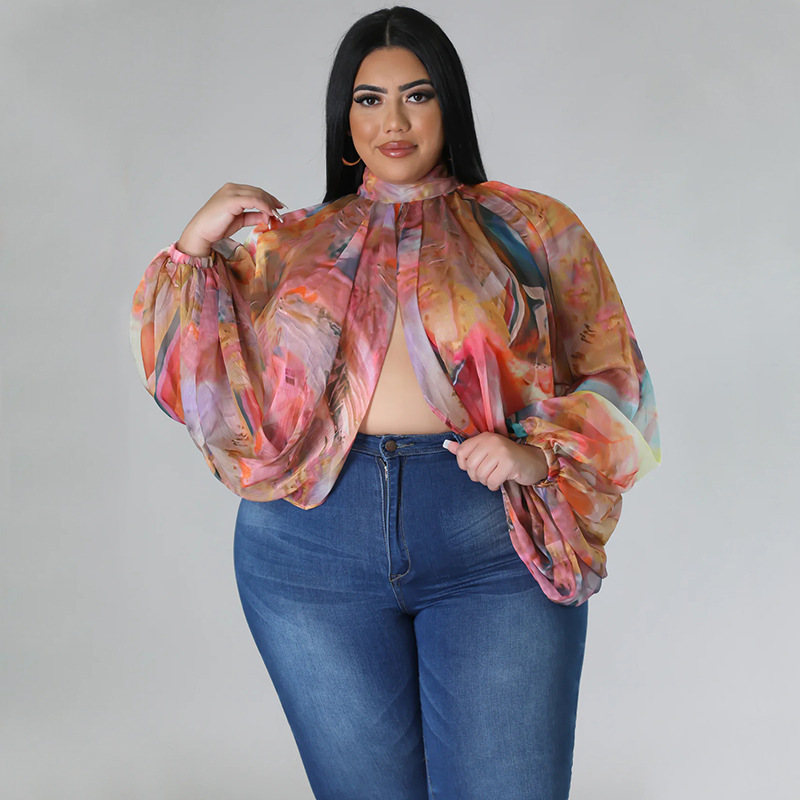 252g Weight Long Sleeve Sleeve Length Regular Sleeve Sleeve Type Spandex, Polyester, Chiffon Fabric Type Long Top Length Blouse Tops Type Daily, Street Occasion Round Neck Neckline Regular Fit Fit Type Color Block Pattern Spring&Summer Season Streetwear Style Blouse Long Sleeve Plus Size Tops Streetwear Color Block 19