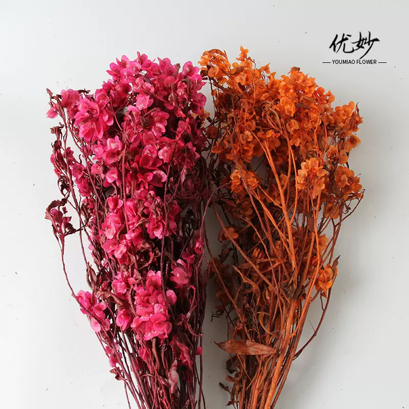 永生迎客豆年宵花永生花保鲜蝴蝶花干花插花花束节日喜庆装饰材料