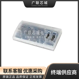RTE0t0002LKCE00000r E2 LITE DEBUGGER Programmer Emulator DEBUGGER