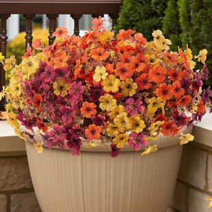 �羳�F؛5��7�����_�m�������＾�ȼ������_�m���m�����ٻ�����