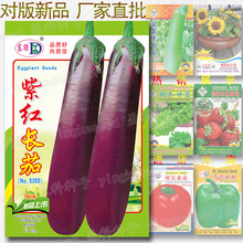 约100粒紫红长茄种子 春季秋季蔬菜种子批发特色茄子优质种籽公司