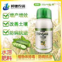 ʩ������������ˮ�ܷ�С�� ���� �۲� �R����ߝ����۰l��Һ250g