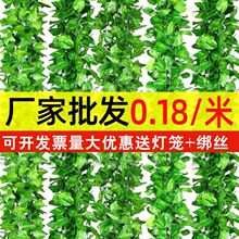 ���������~�̨�ړ��G�~���ϾGֲˮ���{�ܵ��ٻ��ٗl��������b�