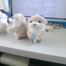amuse�ɐ�Сˮ�H���~ë�q��ż������жY����N�ͶY���ⳬ������
