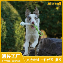Aiwang�������ETPU������K�򻥄�Ӗ�����������ҧĥ���������