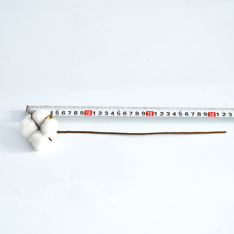 Ins algodón natural diadema Varilla flor seca arreglo floral diy hecho a mano Bouquet decoración material tiro tienda de flores suministros