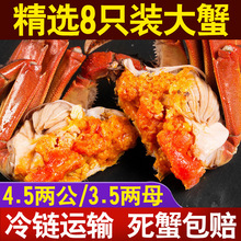 �K�ݾ�Ʒ���l���lз ��4.5�� ĸ3.5���r���з�Y��8ֻ�b ��˾�Fُ