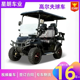 高尔夫球车;电动观光车
