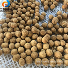 �����Ĺ����ɿ����C�� �ɿ������T���a�� �Թ����T��Խݮ��Ƭ�O��