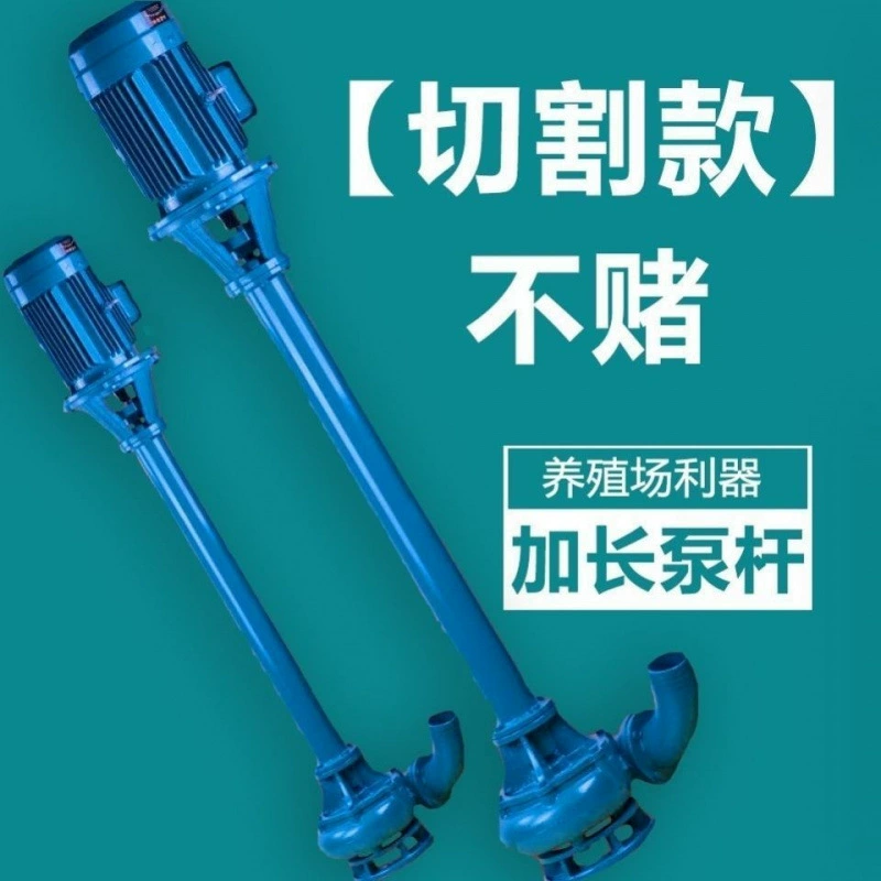 Вертикальный грязевой насос для откачки сточных вод, фекалий и отложений, 220В, для септиков и ферм, 380В, трехфазный, для дноуглубительных работ