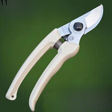 �ձ���֦�������zԭ�b�߿ռ���֦����˹�����仨��һ�����]