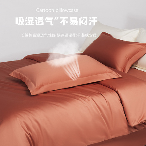 Class a 120-count satin Xinjiang long-staple cotton encrypted pillowcase pure cotton pair 48x74cm household adult