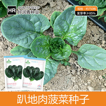 Slſز˷NӺ~ͺⲤѷNļԲˈ@