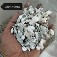 牡蛎中药材现货批发零售牡蛎块品质好一首货源量大从优优质