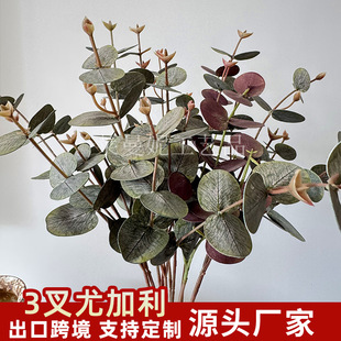 3���p���N���ȼ�������پGֲ��c��Y�ò����b��쾰�廨����