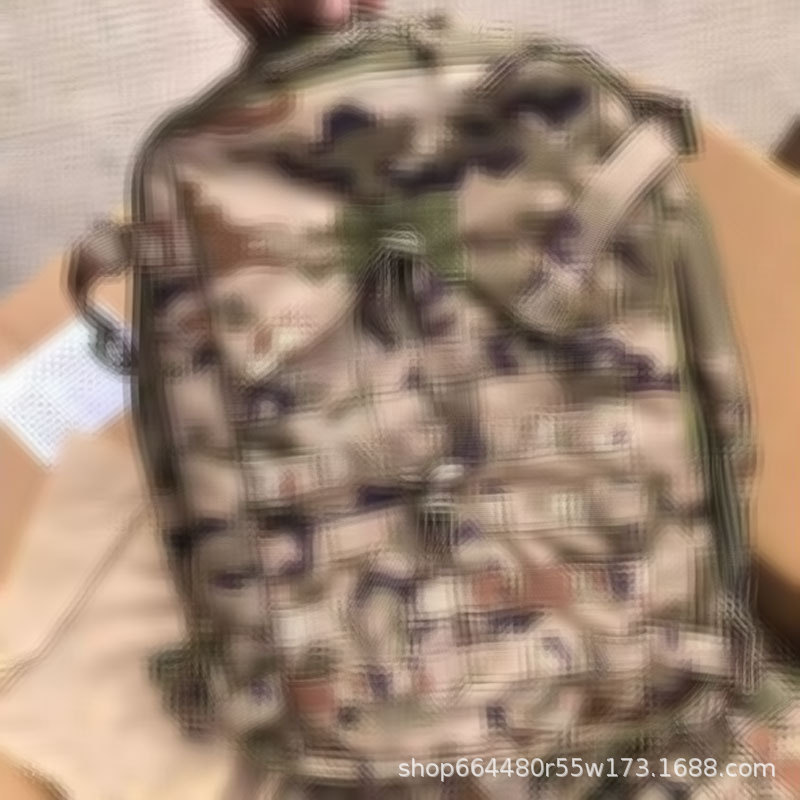 21 Assault Bag 21 Carry Equipment Field Combat Training Equipment Manufacturer Direct Supply Tactical Backpack