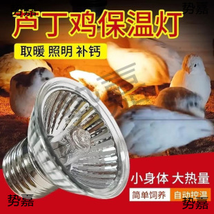 ��늱��ؿ������JȡůС�u�Bֳ�����W�^���u����B�䱣ů���r