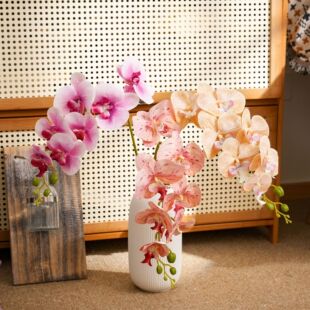 ����΢�L���^�����mINS�L���滨�羳��c���l�ٻ��S�ҼҾ��b�