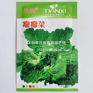 天禧瘤瘤菜种子优质高产耐热耐寒抗病农家夏秋播种精选特菜种
