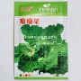 天禧耐寒精选播种种子