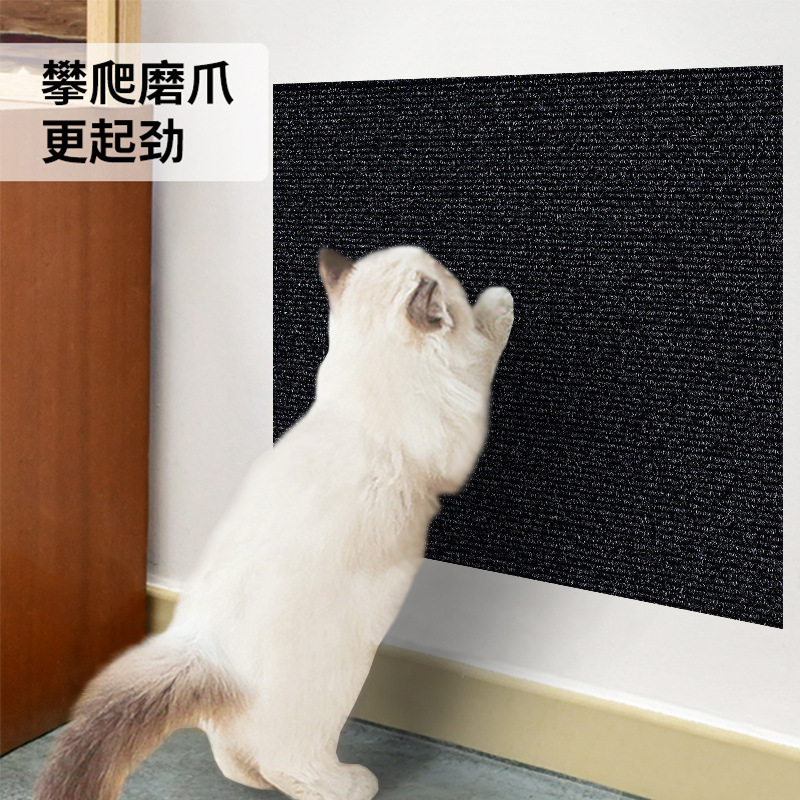 블랙 [포장/라벨링/생성/크기 등을 주문할 수 있습니다]]