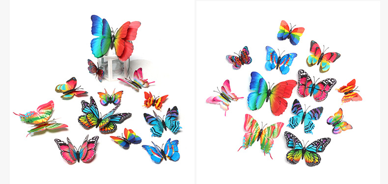 12只彩虹套装蝴蝶详情_08