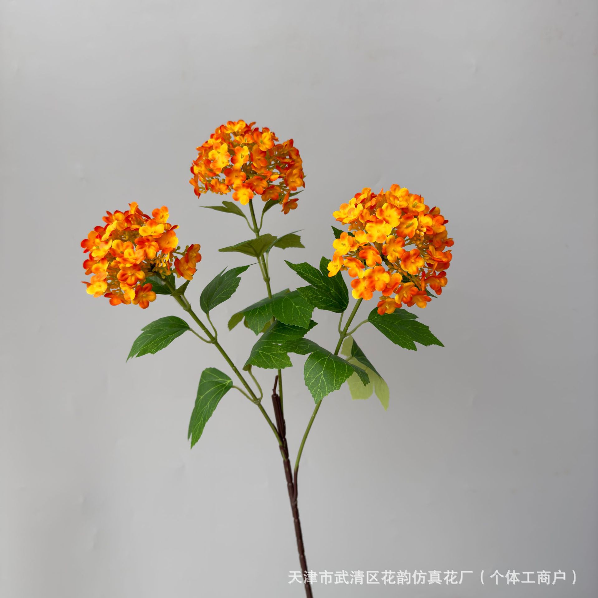 주황색