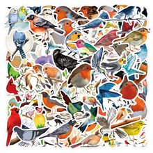 55张卡通可爱Bird彩色小鸟创意贴纸装饰行李箱水杯电脑防水贴画
