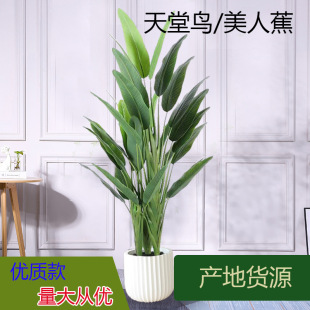 WB˽ֲ˽辰҃bGֲ[