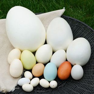 Egg Model Goose Egg Kidsren's Painted Egg Dinosaur Egg Handmade Kindergarten DIY Painting Ostrich Egg Toy