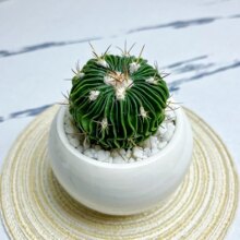 �_�������������ϡ��ǧ���f������ֲ���k���ҷ�ݗ�����ԾGֲ