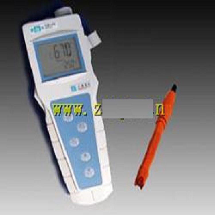 便携式溶解氧分析仪 型号:SL1-JPBJ-608 库号：M342924