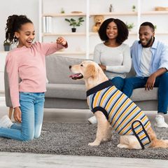 越境してよく売れている大中の子犬の術後の服のマジックは着やすいです。