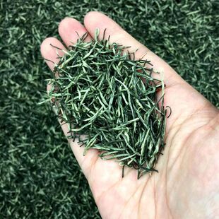 ë����~2025�²�����ë���ɽ�G����ǰ��ѿ�����ֹ���F�����l