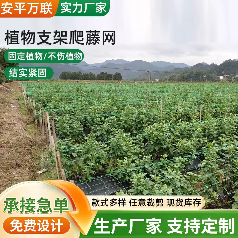 定制植物支架网菜园蔬菜爬藤架种植攀爬网农用爬藤网网高密度