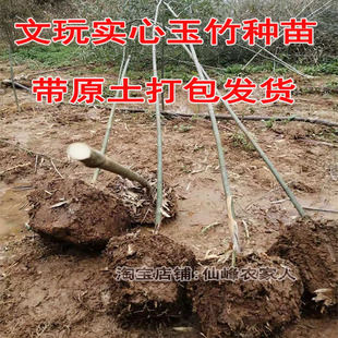 I��������������ͥԺ���Ԍ�����������N�����������ļ��L������