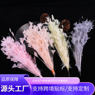 ��̨������ë�^l�A˺�����F�z���������^�׃���ͼҾ��b�