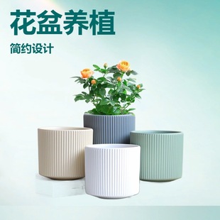 �մɻ��聆�ⱱ�W���s�����̖���бP������m��������m�Gֲ����