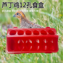 芦丁鸡食盒料槽芦丁盒喂料器喂食器鹌鹑鸽饲养养殖槽子育雏防刨食