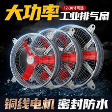 ���ʴ�ߴ����L�ȏN�����ù��I�L�Cؓ���������ÓQ���ȳ��͟��C